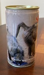 Simba Import Lager Empty Beer Can Bottom Opened African Wild Life 17 Baboon