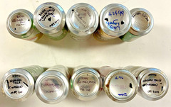 International Beer Cans choice of many different empty alum BottomOpen blemishes