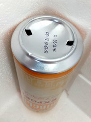 Empty Beer Can KYIV Export OBOLON Ukraine 🇺🇦 500 ml. 2025 Bottom Open! 🇺🇦