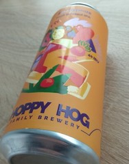 Empty Beer Can ANANYPOUS Limited Hoppy Hog 500 ml. Ukraine 2023 Bottom Open!