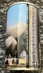 LION LAGER #2 ELEPHANT OHLSSONS CAPE BREWERY SOUTH AFRICA
