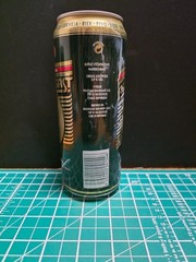 Empty Beer Can RADEGAST 500 ml. Czechia 2000 Top Open (TRAY 11)