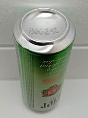Empty Beer Can ERFURTER 500 ml. Germany 2021 Top Open!