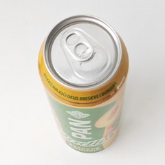 Empty 2025 PAN Peach & Ginger Radler Beer can 500 ml/16.9 fl oz BOTTOM (Croatia)