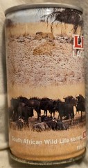 Lion Beer Can – Wildlife Series #7 Wildebeest – South Africa – 11.5 Ounce