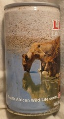 Lion Beer Can – Wildlife Series #1 Lion – South Africa – 11.5 Ounce
