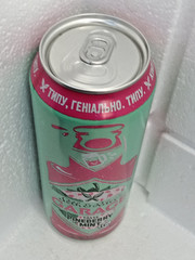 Empty Beer Can GARAGE Pineberry Seth and Riley’s 480 ml Ukraine 2025 Bottom Open