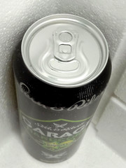 Empty Beer Can GARAGE HARDCORE Seth & Riley’s 500 ml. Ukraine 2024