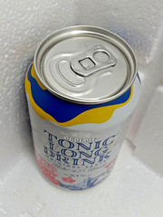 Empty Drink Cans Low-Alcoholic Strongly Carbonated Beverage OBOLON 330 ml. 2 pcs