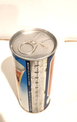 Tennent’s Girls Lager Beer Sylvia 15.5oz straight steel beer can Scotland
