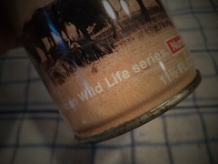 LION LAGER BEER 11.5 OZ ROUND EDGE STEEL CAN SOUTH AFRICAN WILD LIFE SERIES #7