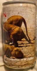 Lion Beer Can – Wildlife Series #1 Lion – South Africa – 11.5 Ounce