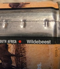 Lion Beer Can – Wildlife Series #7 Wildebeest – South Africa – 11.5 Ounce