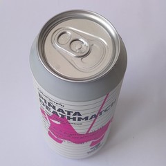 Empty Piñata Deathmatch Ale Beer can; 500 ml / 16.9 fl oz; BOTTOM (Croatia)