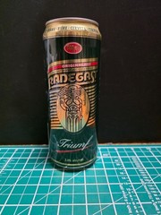 Empty Beer Can RADEGAST 500 ml. Czechia 2000 Top Open (TRAY 11)