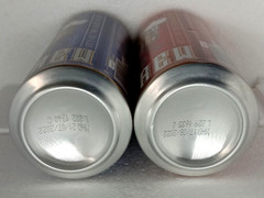 Empty Beer Cans STEAM BREW 500 ml. Germany 2022 Top Open! – 2 pcs.